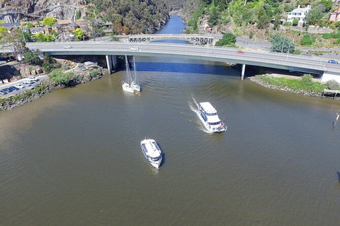 Cataract Gorge Cruise 10:30 Am - Accommodation Coffs Harbour 5