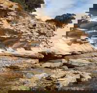 Maria Island premium private photo-oriented day tour from Hobart - Accommodation Coffs Harbour