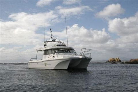 Bonnet Island Experience Departing From Strahan - Accommodation Coffs Harbour 1
