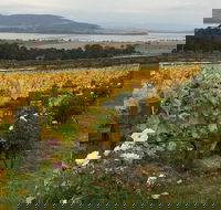 Mona and Wine Experience Tour - Accommodation Coffs Harbour