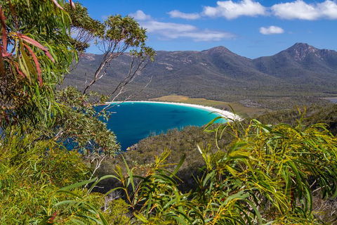 4x4 And Lunch Full Day Freycinet And Wineglass Bay - Accommodation Coffs Harbour 1