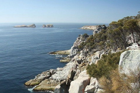 Great Walks Of Australia: 4-Day Freycinet Experience Walk - Accommodation Coffs Harbour 10