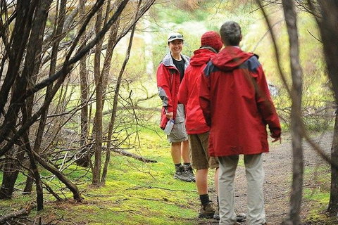 Great Walks Of Australia: 4-Day Freycinet Experience Walk - Accommodation Coffs Harbour 7