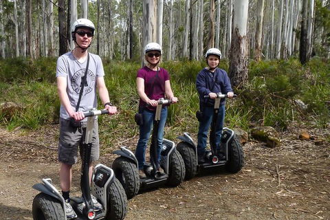 Hollybank Wilderness Adventures - Segway Tour - Accommodation Coffs Harbour 1
