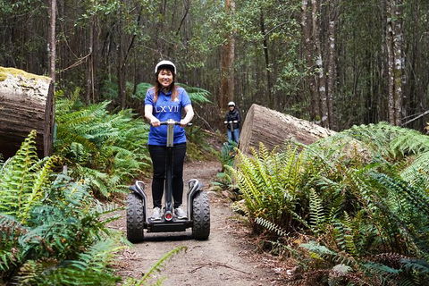 Hollybank Wilderness Adventures - Segway Tour - Accommodation Coffs Harbour 0