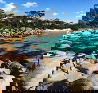 4-Day Tasmania East Coast Adventure from Launceston to Hobart Including Bay of Fires Wineglass Bay Bruny Island and Port Arthu - Accommodation Coffs Harbour