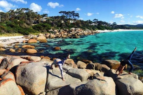 4-Day Tasmania East Coast Adventure From Launceston To Hobart Including Bay Of Fires, Wineglass Bay, Bruny Island And Port Arthu - Accommodation Coffs Harbour 0