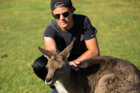 4-Day Tasmania East Coast Adventure From Launceston To Hobart Including Bay Of Fires, Wineglass Bay, Bruny Island And Port Arthu - Accommodation Coffs Harbour 6
