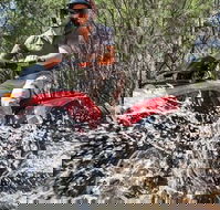 Quad Bike 2-Hour Adventure Freycinet National Park - Accommodation Coffs Harbour