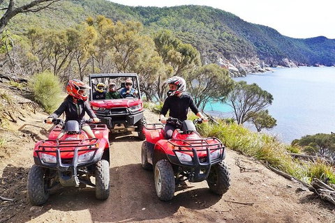 Quad Bike 2-Hour Adventure: Freycinet National Park - Accommodation Coffs Harbour 2