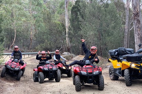 Quad Bike 2-Hour Adventure: Freycinet National Park - Accommodation Coffs Harbour 4