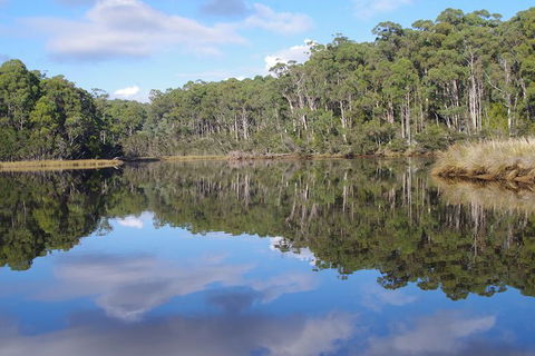 Leven River Picnic Cruise From Ulverstone - Accommodation Coffs Harbour 1
