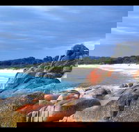 Bay of Fires Day Trip from Launceston - Accommodation Coffs Harbour