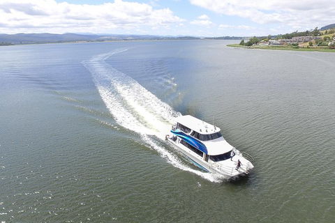 Batman Bridge 4 Hour Luncheon Cruise Including Sailing Into The Cataract Gorge - Accommodation Coffs Harbour 1