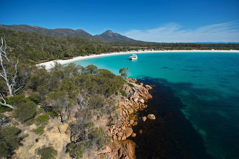 Wineglass Bay Cruise From Coles Bay - Accommodation Coffs Harbour 5