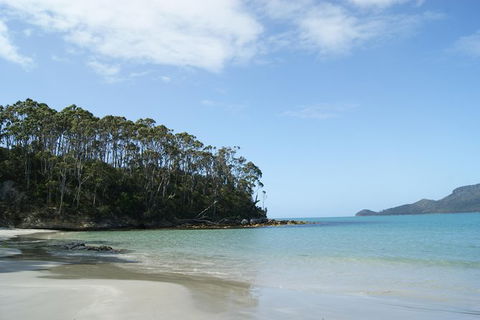 Bruny Island Day Trip From Hobart - Accommodation Coffs Harbour 0