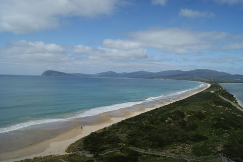 Bruny Island Day Trip From Hobart - Accommodation Coffs Harbour 7