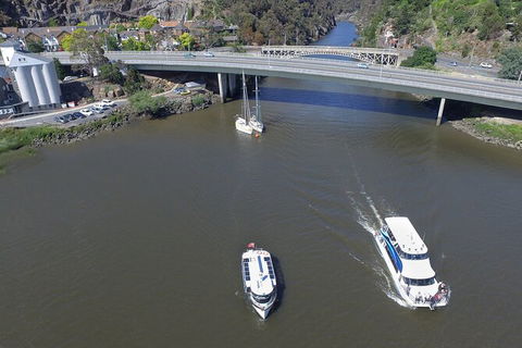 Cataract Gorge Cruise 9:30 Am - Accommodation Coffs Harbour 5