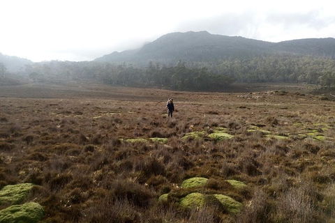 The Walls Of Jerusalem Supported Trekking Tour - Accommodation Coffs Harbour 4