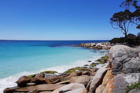 Tasmania 4 Day East Coast + Launceston - Accommodation Coffs Harbour 0