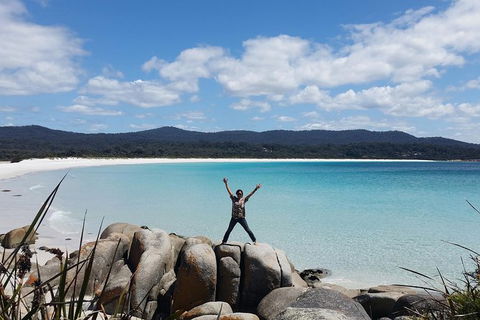 Tasmania 4 Day East Coast + Launceston - Accommodation Coffs Harbour 5