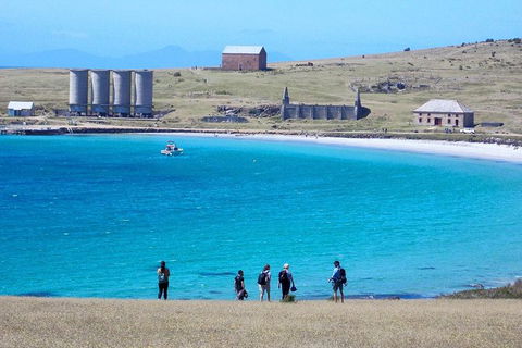Private Maria Island Hiking Tour With Gourmet Lunch - Accommodation Coffs Harbour 1