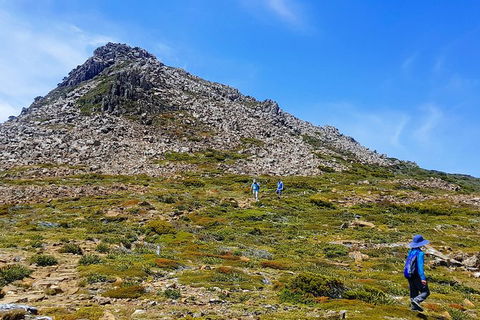 3-Day: Hobart Adventure Tour: Mount Field, Cape Hauy And Hartz Peak - Accommodation Coffs Harbour 0