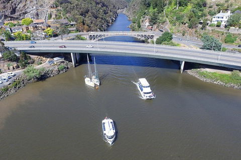 2.50 Hour Afternoon Discovery Cruise Including Cataract Gorge Departing At 3 Pm - Accommodation Coffs Harbour 1