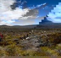6-Day Overland Track PhotoTour - Accommodation Coffs Harbour