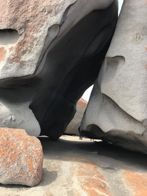 Kangaroo Island In A Day Tour From Adelaide - Accommodation Coffs Harbour 7