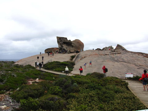 Kangaroo Island In A Day Tour From Adelaide - Accommodation Coffs Harbour 21