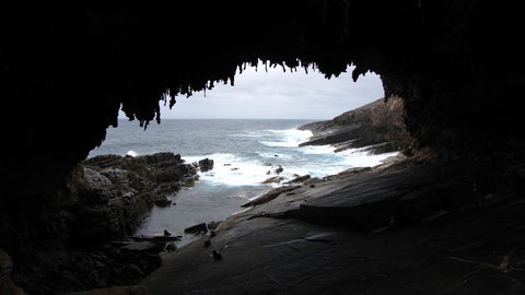 Kangaroo Island In A Day Tour From Adelaide - Accommodation Coffs Harbour 20