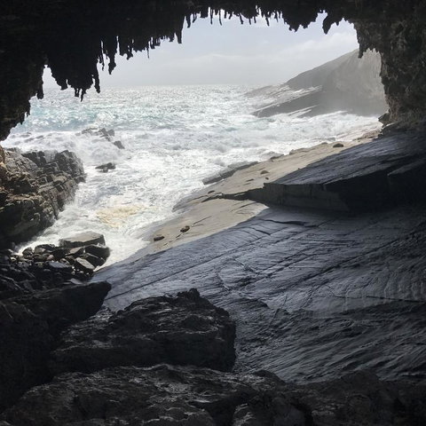 Kangaroo Island In A Day Tour From Adelaide - Accommodation Coffs Harbour 5