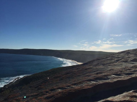 Kangaroo Island In A Day Tour From Adelaide - Accommodation Coffs Harbour 17