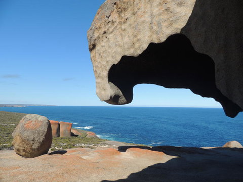 Kangaroo Island In A Day Tour From Adelaide - Accommodation Coffs Harbour 13