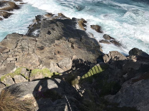 Kangaroo Island In A Day Tour From Adelaide - Accommodation Coffs Harbour 3