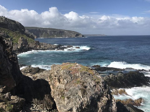 Kangaroo Island In A Day Tour From Adelaide - Accommodation Coffs Harbour 4