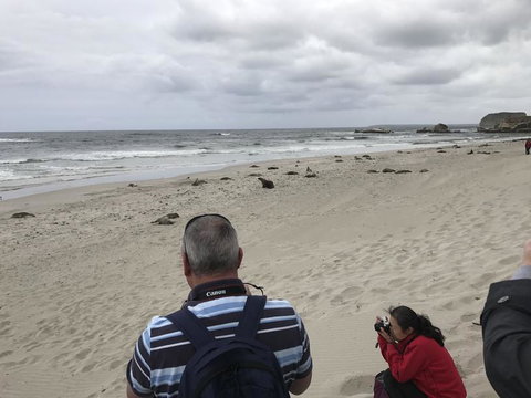 Kangaroo Island In A Day Tour From Adelaide - Accommodation Coffs Harbour 10