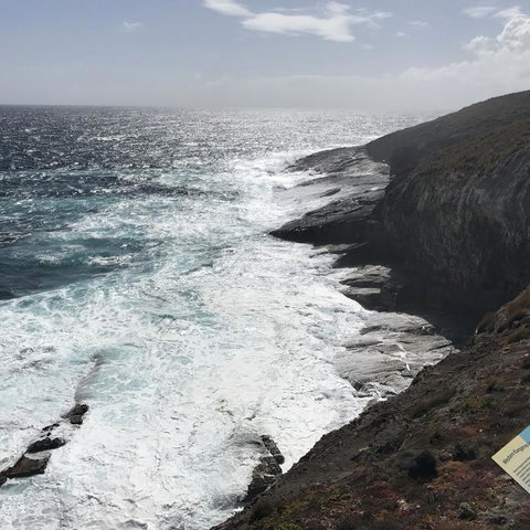 Kangaroo Island In A Day Tour From Adelaide - Accommodation Coffs Harbour 6