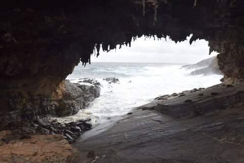 Kangaroo Island In A Day Tour From Adelaide - Accommodation Coffs Harbour 18