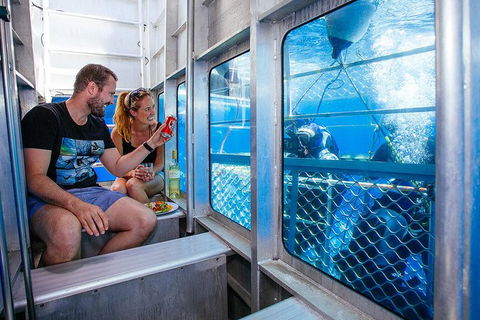 White Shark Tour With Optional Cage Dive From Port Lincoln - Accommodation Coffs Harbour 4