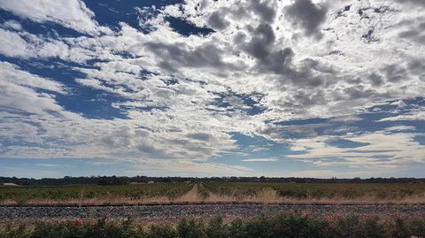 Barossa Valley Full-Day Tour From Adelaide With Maggie Beer Farm - Accommodation Coffs Harbour 3