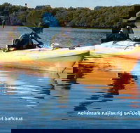 Adelaide Dolphin Sanctuary and Ships Graveyard Kayak Tour - Accommodation Coffs Harbour
