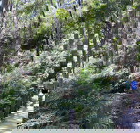 Self-Guided Waterfall Gully to Mount Lofty Hike from Adelaide - Accommodation Coffs Harbour