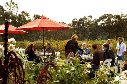 Clare Valley Intimate Winery Tour By Private Limo From Adelaide - Accommodation Coffs Harbour 4