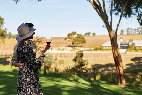 Micro-Group McLaren Vale Wine Tour From Adelaide - Accommodation Coffs Harbour 0