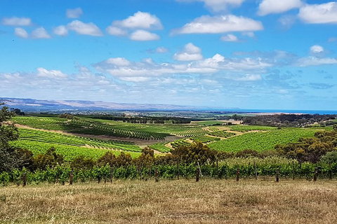 Micro-Group McLaren Vale Wine Tour From Adelaide - Accommodation Coffs Harbour 4
