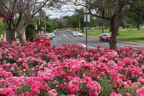 Adelaide Walking Tour: Hills, Squares And Parklands - Accommodation Coffs Harbour 6