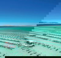 Coffin Bay Day Tour - A Taste of Coffin Bay - Accommodation Coffs Harbour
