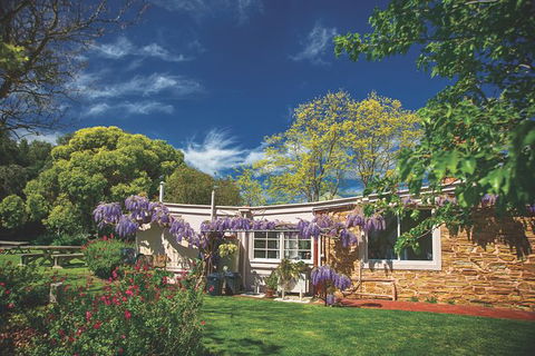 McLaren Vale Winery Small Group Tour With Wine Tasting And Lunch - Accommodation Coffs Harbour 5